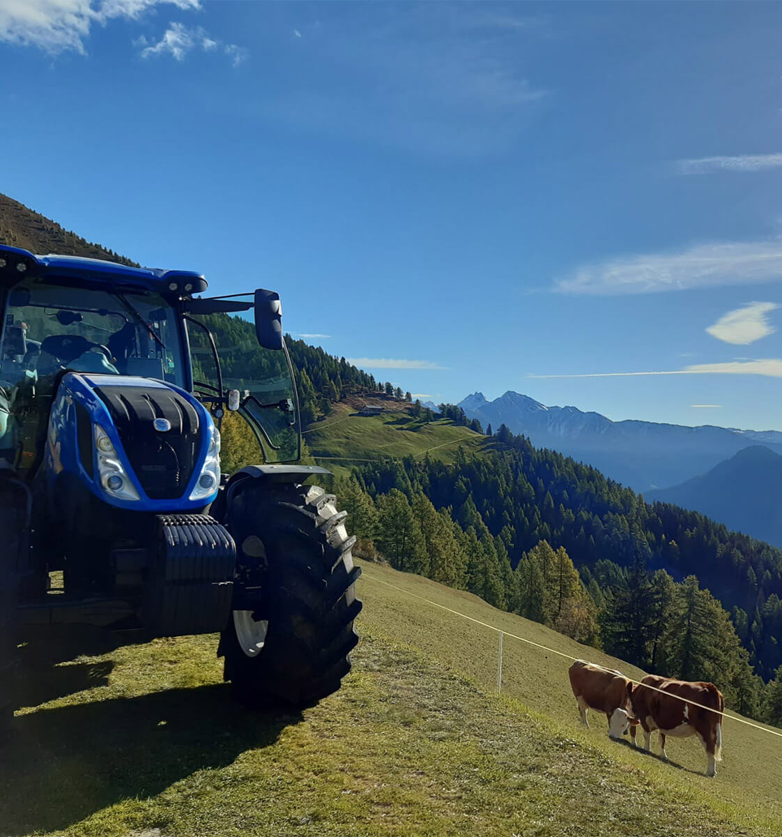 Traktor auf der Alm