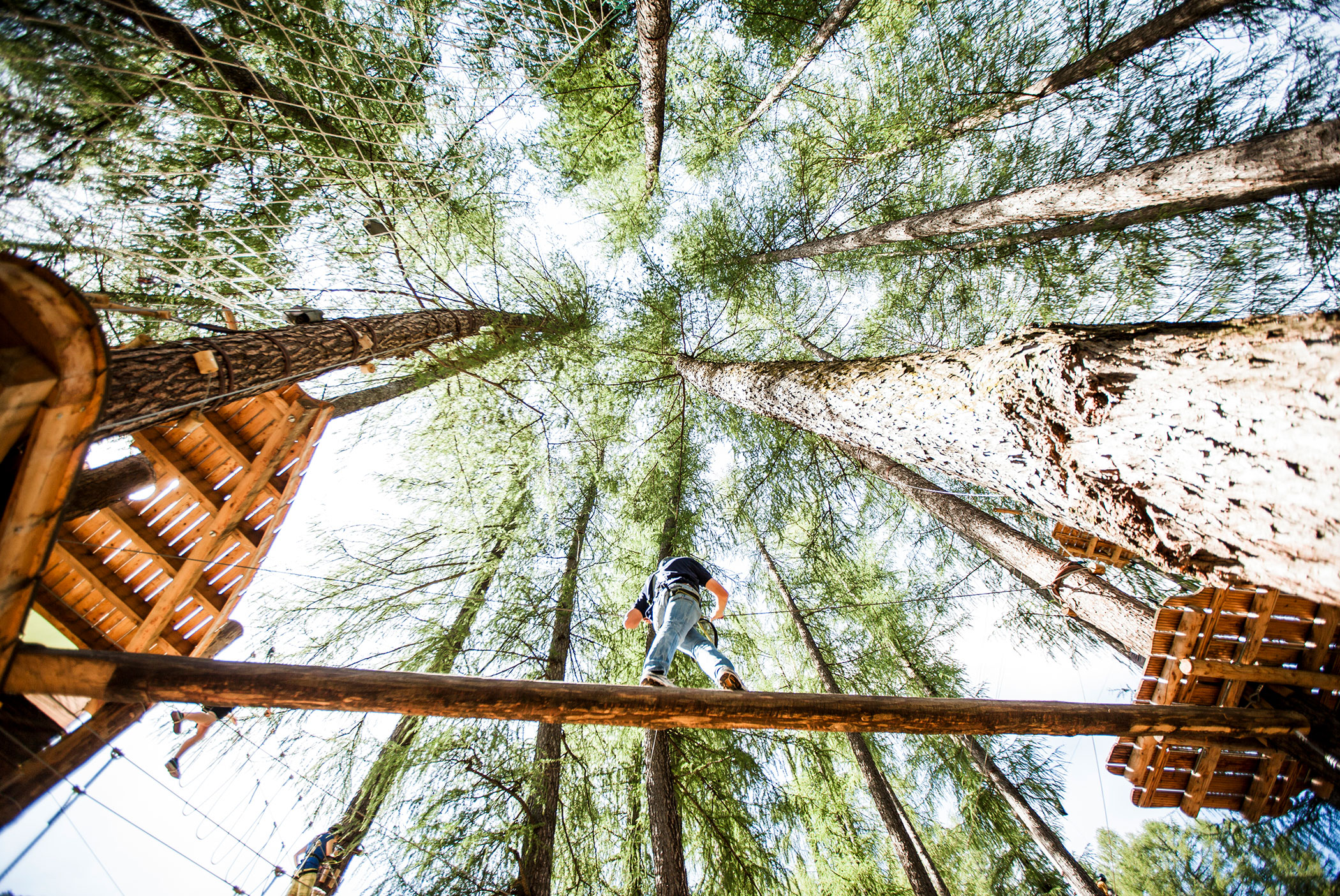 Percorso ad alta fune
