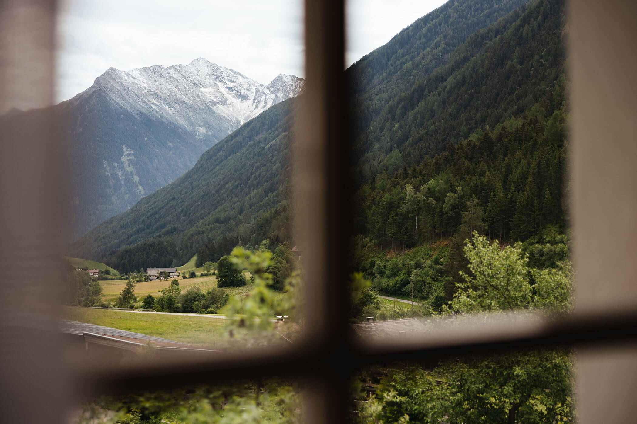 View into nature