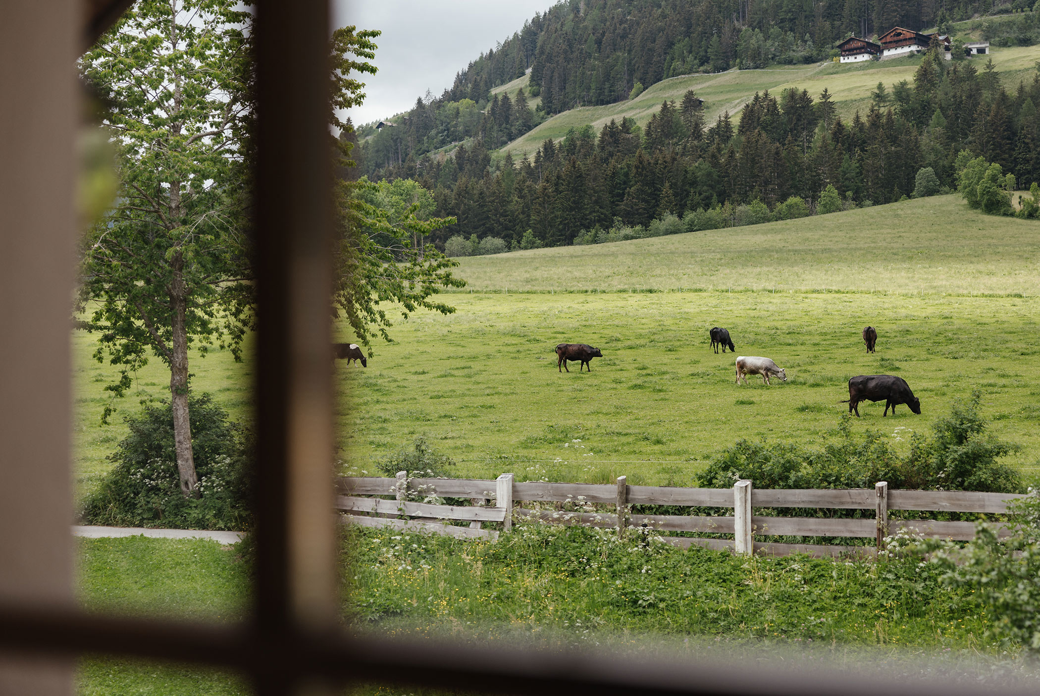 Ferienwohnung Stern Ausblick auf die Natur
